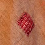 Primitive Pantry Towel